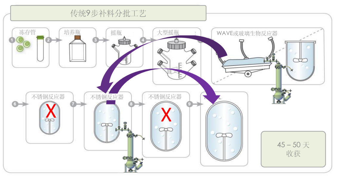 XCell? ATF應(yīng)用于種子和N-1灌流